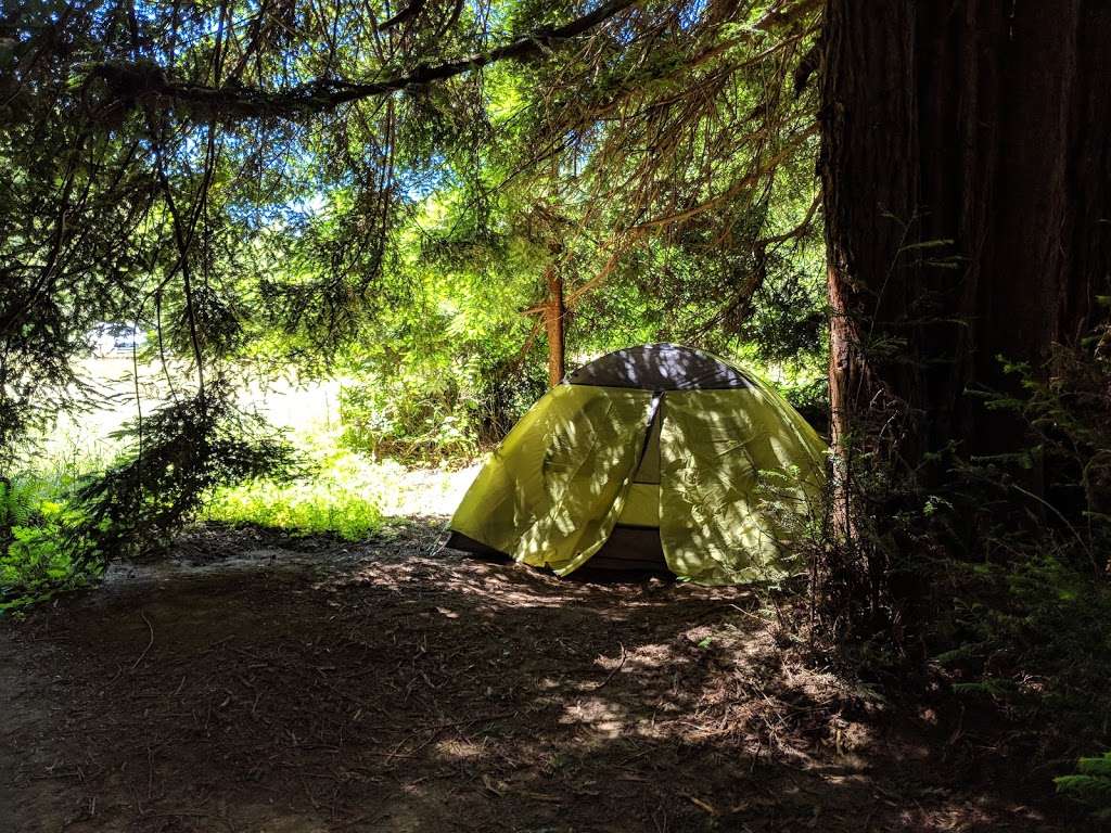 Redwood Camp 2 | Occidental, CA 95465, USA | Phone: (707) 876-1808