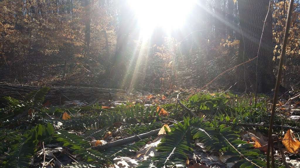 Baldpate Mountain | Titusville, NJ 08560, USA