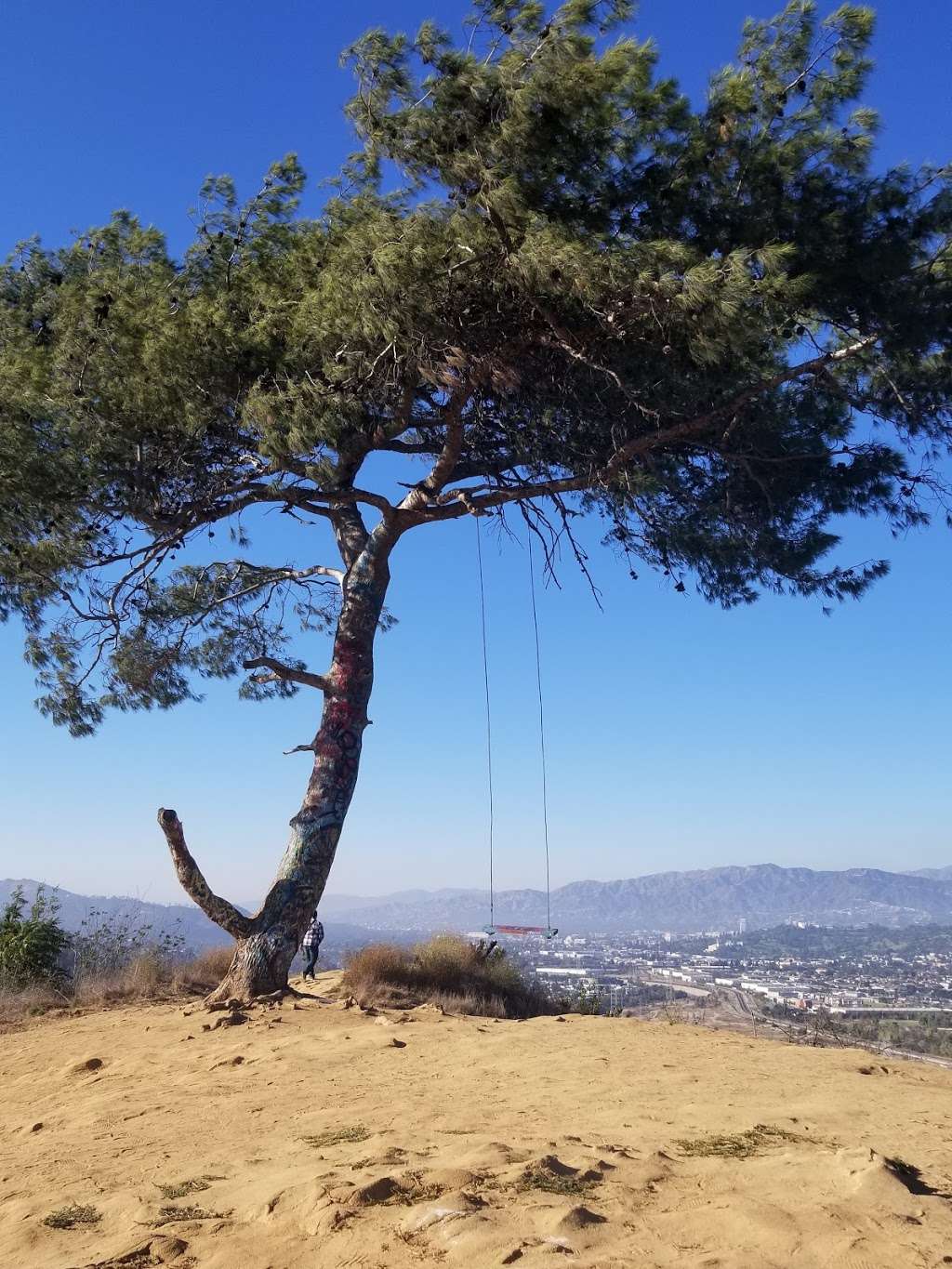 The Hidden Swing | Elysian Park Dr, Los Angeles, CA 90012, USA