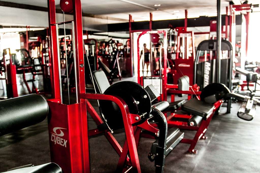 Physiques Gym | 2716 E Bell Rd, Phoenix, AZ 85032, USA | Phone: (602) 953-1111