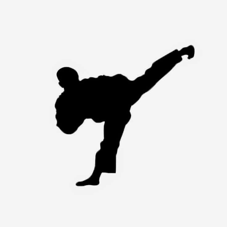 KH Kim Taekwondo - Plainfield Academy | 23836 W 135th St, Plainfield, IL 60544, USA | Phone: (815) 267-3911