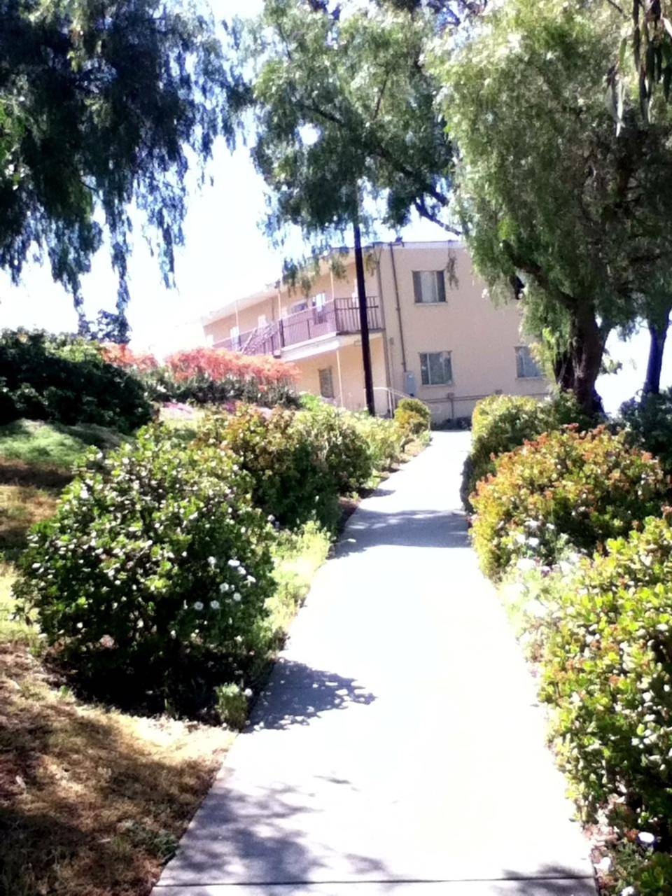 Southern California Seminary | 2075 E Madison Ave, El Cajon, CA 92019, USA | Phone: (888) 389-7244