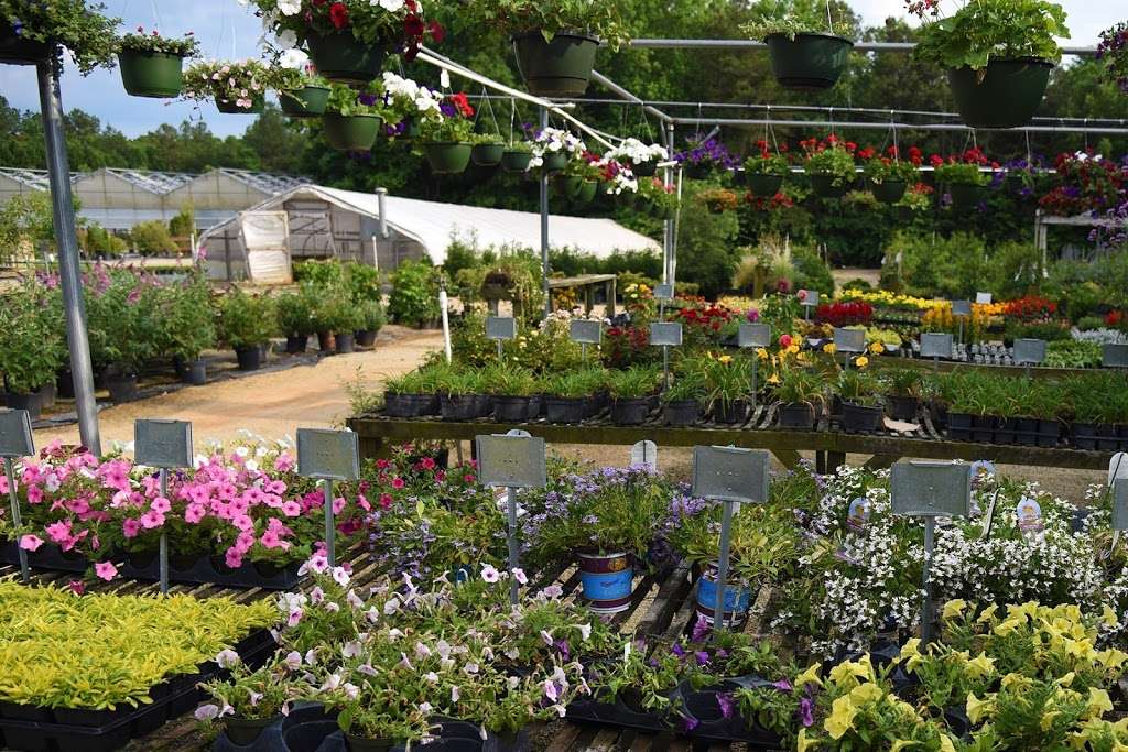 Garden Greenhouses | 4070 Woodleaf Rd, Salisbury, NC 28147, USA | Phone: (704) 636-7208