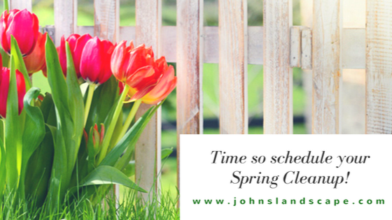 Johns Landscape Services | 30 Garden St, Arlington, MA 02474, USA | Phone: (781) 646-5555