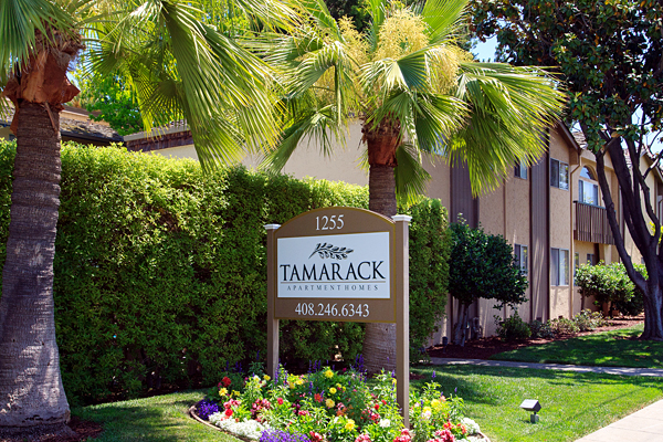 Tamarack Apartments | 1255 Lincoln St, Santa Clara, CA 95050, USA | Phone: (408) 215-1316