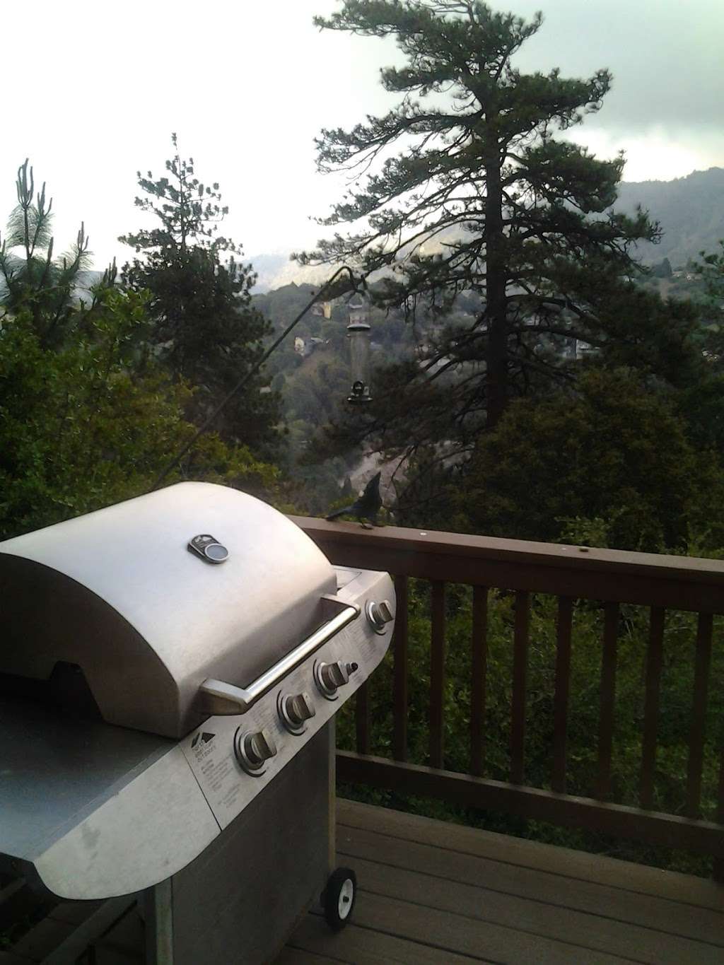 Blue Jay Getaway | 24326 Wabern Dr, Crestline, CA 92325, USA | Phone: (951) 203-2120