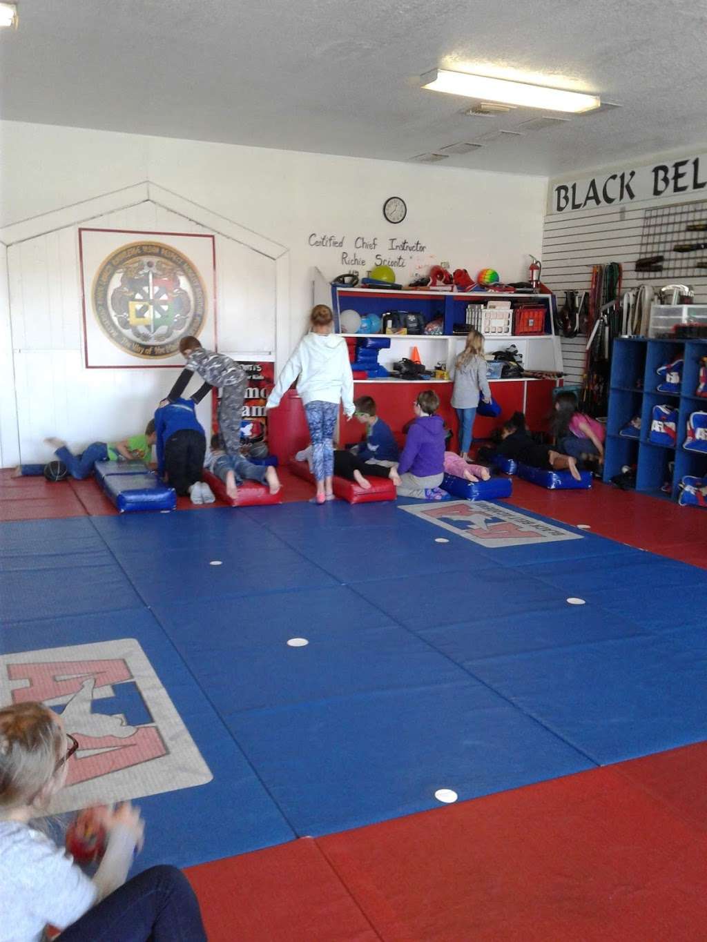 Sciontis Karate For Kids Inc | 10340 SE 43rd Ct, Belleview, FL 34420 | Phone: (352) 347-3722