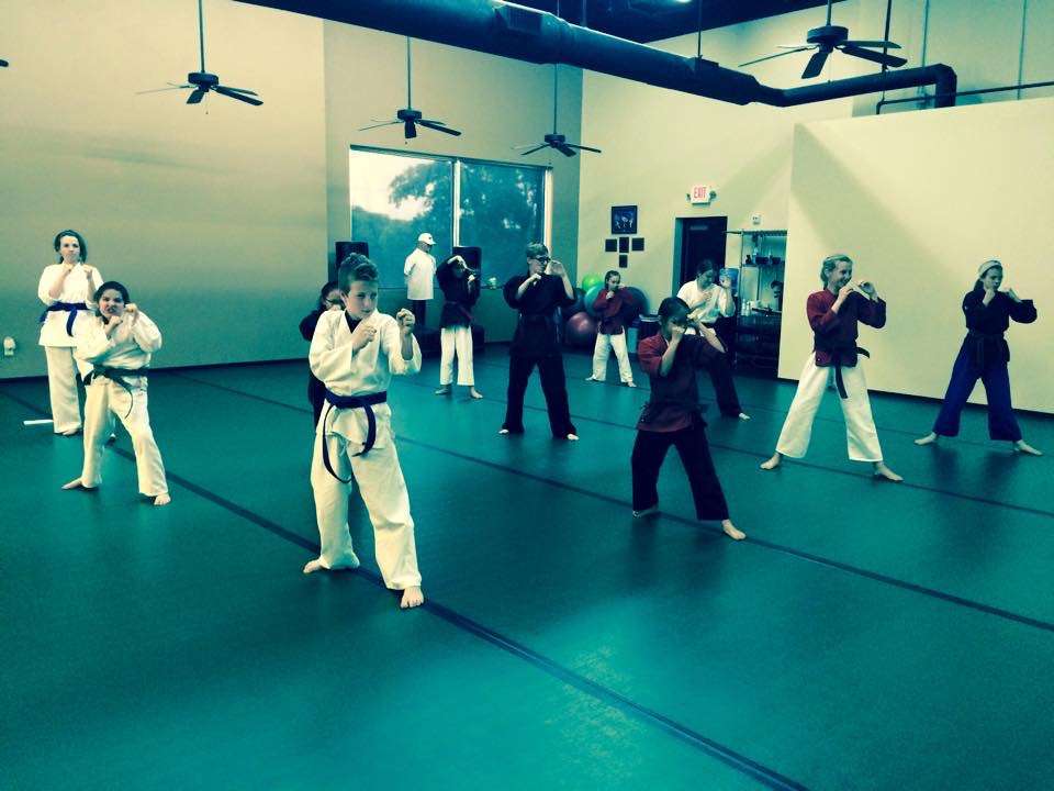 Mid-Cities Martial Arts Studio | Kroger shopping center, 1121 Flower Mound Rd #560, Flower Mound, TX 75028, USA | Phone: (469) 322-0539