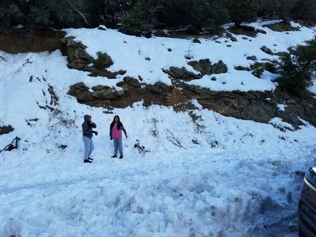 Cold Creek Falls | Angelus Oaks, CA 92305, USA
