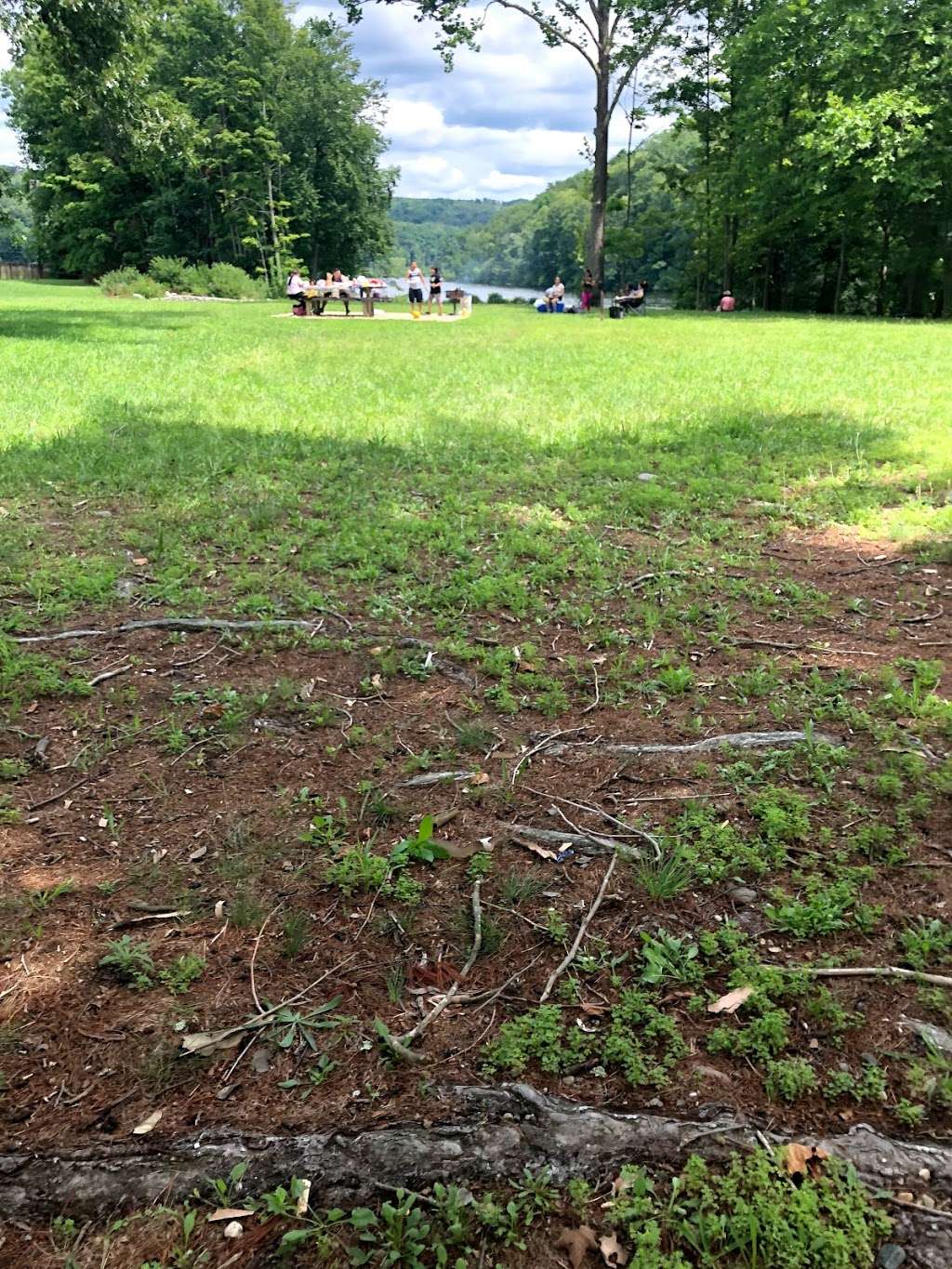 Shepaug Eagle Viewing | 2150 River Rd, Southbury, CT 06488, USA