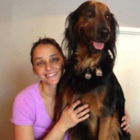 Faux Paws Wholesome Pet Shop | 318 Springfield Ave, Summit, NJ 07901, USA | Phone: (908) 516-2701