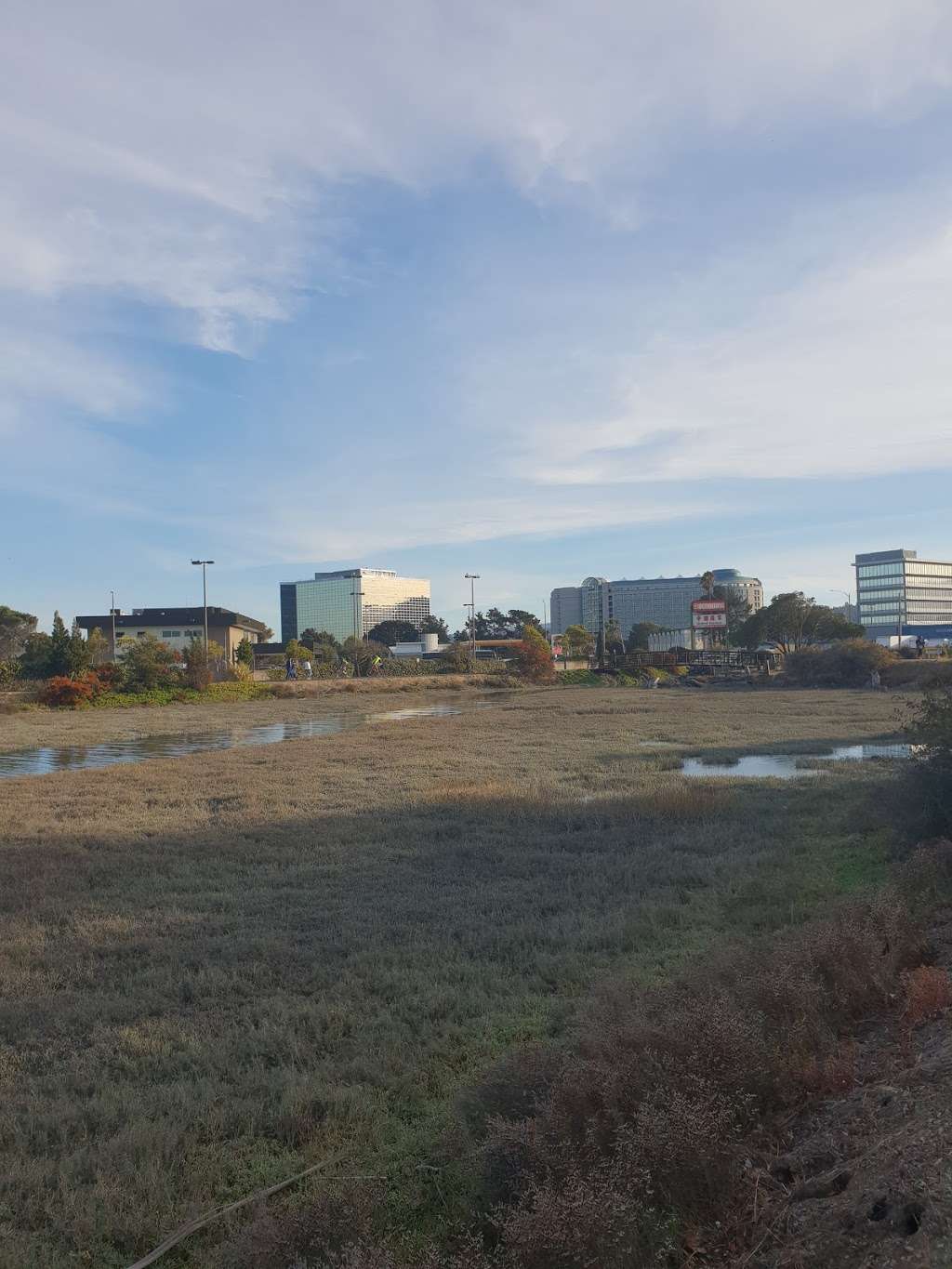 City of Burlingame Shorebird Sanctuary | Between 1404 and 1500, Old Bayshore Hwy, Burlingame, CA 94010, USA