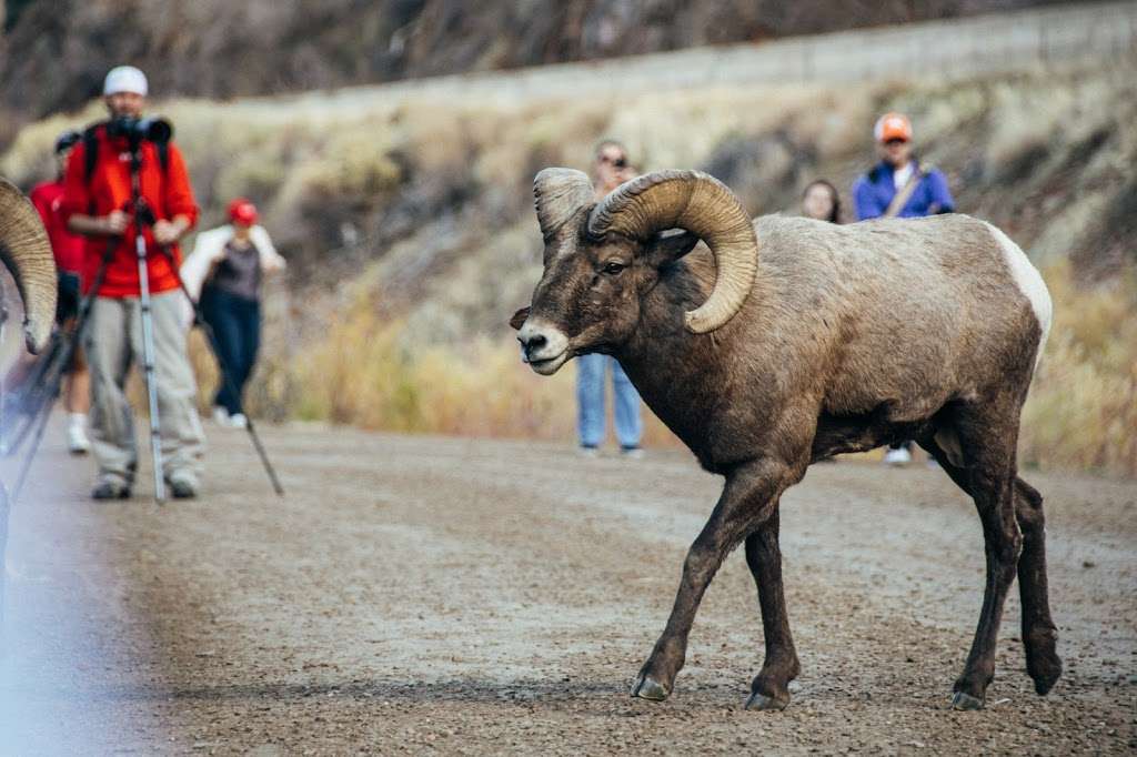 Waterton Canyon | Waterton Canyon, Littleton, CO 80127, USA