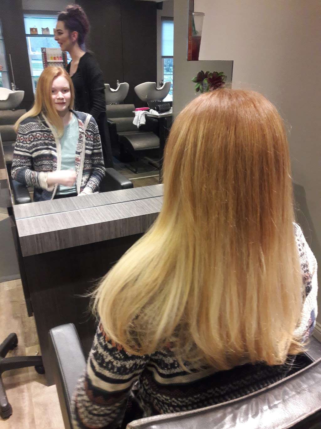 Calista Salon & Spa | 1211 Wilmington Pike, West Chester, PA 19382 | Phone: (610) 399-6677