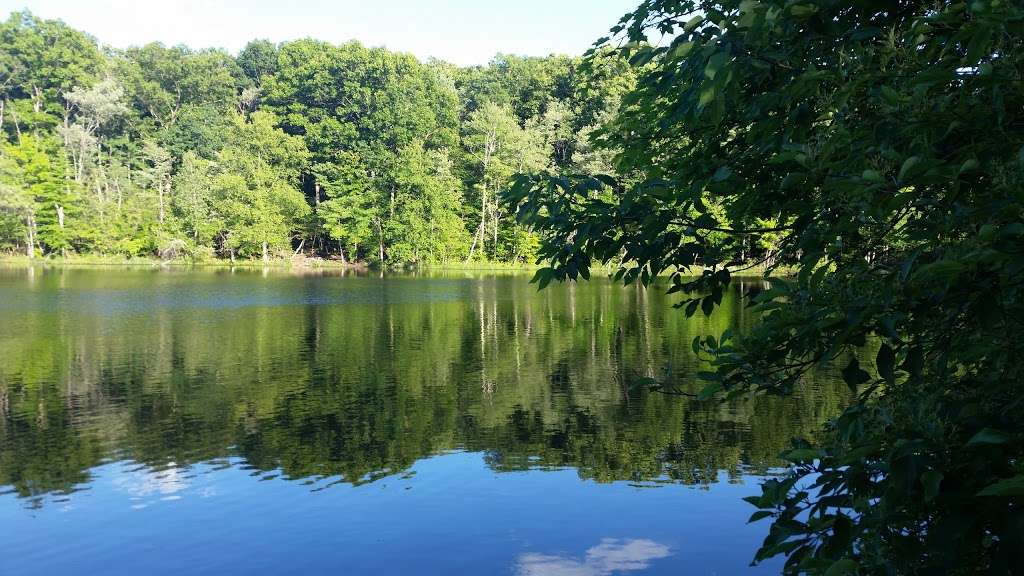 Highland Lakes State Park | 55-223 Tamms Rd, Middletown, NY 10941 | Phone: (845) 786-2701