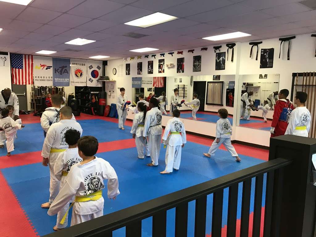 Master Wils Tae Kwon Do Deltona | 783 Fort Smith Blvd Suite 100 - 103, Deltona, FL 32738, USA | Phone: (407) 320-1945