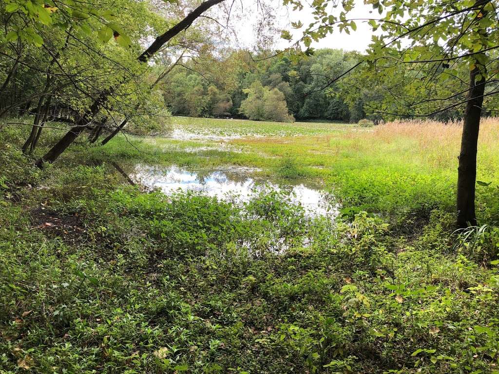 Two Sisters Wetland Preserve Property | Riverside Park, Wayne, NJ 07470, USA