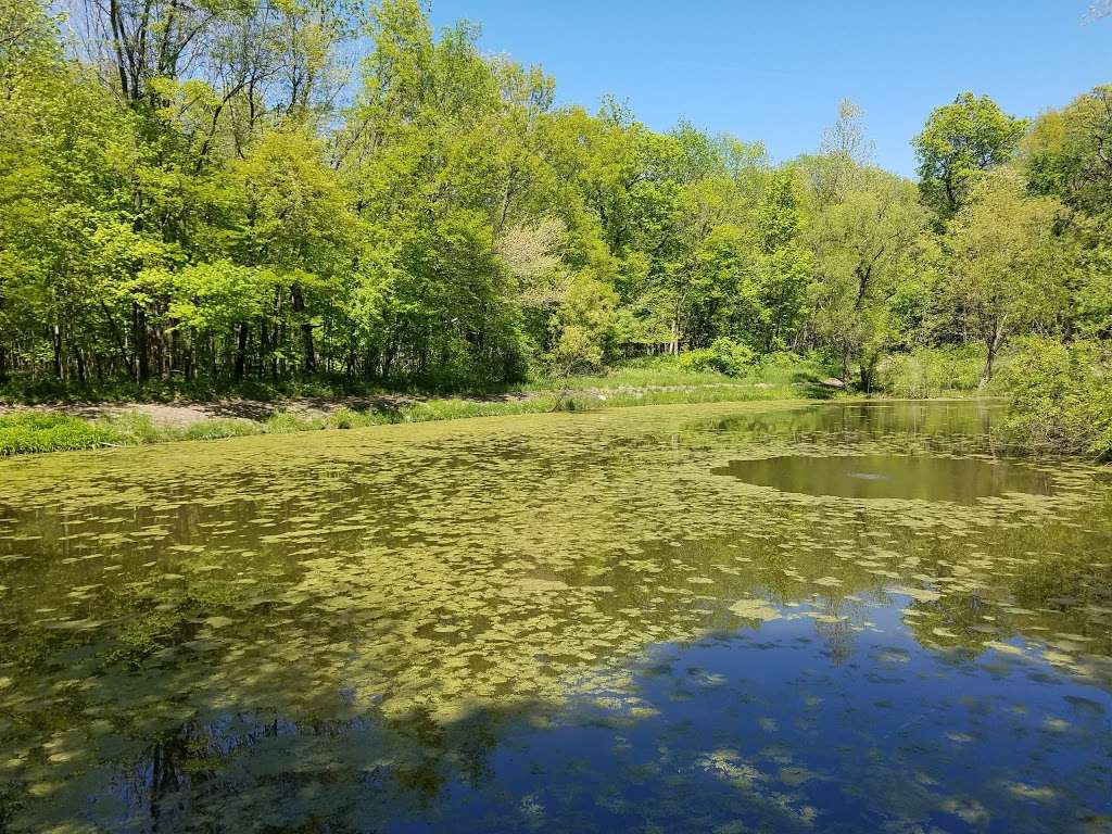 Humiston Woods Nature Preserve | 2100 North Rd , Pontiac, IL 61764, E 2100 N Rd, Pontiac, IL 61764, USA | Phone: (815) 844-5831