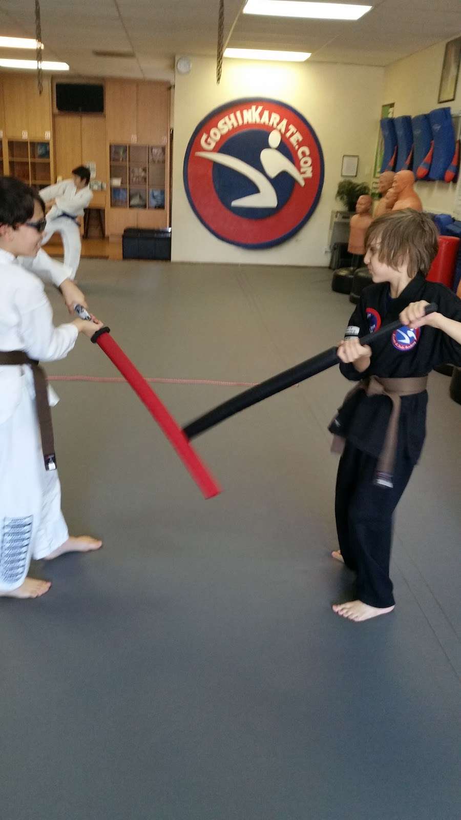 Goshin Karate & Judo Academy | 6245 E Bell Rd # 120, Scottsdale, AZ 85254 | Phone: (480) 951-2236