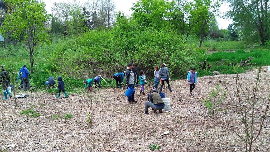 Rainier Beach Urban Farm and Wetlands | 5513 S Cloverdale St, Seattle, WA 98118, USA | Phone: (206) 633-0451