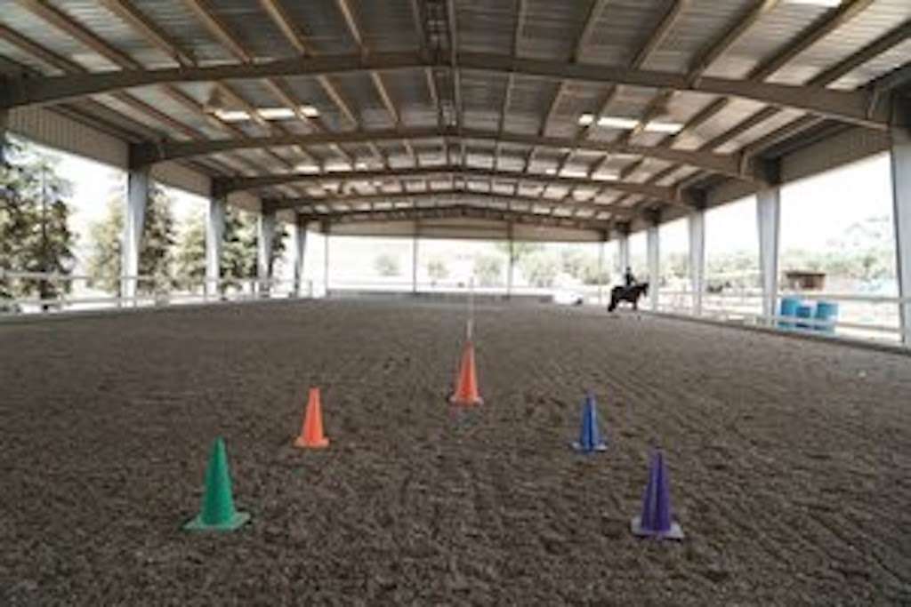 Reins in Motion Foundation | 9300 Tesla Rd, Livermore, CA 94550, USA | Phone: (925) 518-7558