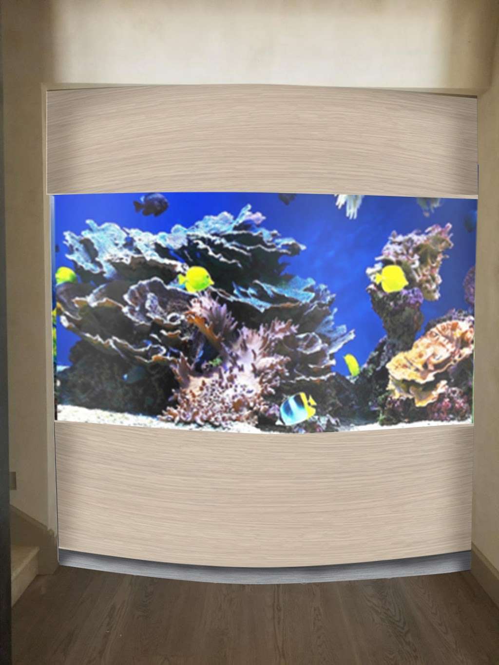 Reef Systems Inc | 2931 Grace Ln # G, Costa Mesa, CA 92626, USA | Phone: (714) 751-3474