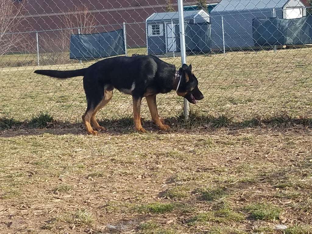 Manassas Park Dog Park | 38°4702.9"N 77°2741.3"W, Manassas Park, VA 20111, USA