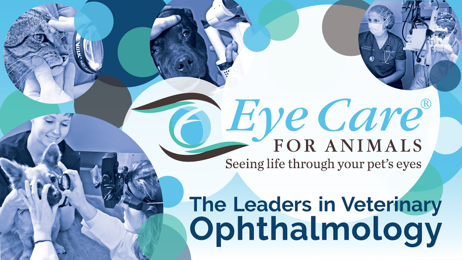 Eye Care for Animals | 8890 Centre Park Dr #100, Ellicott City, MD 21043 | Phone: (301) 362-5252