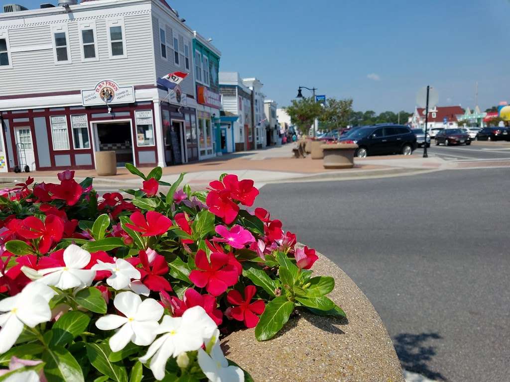 Bethany Beach Books | 99 Garfield Pkwy, Bethany Beach, DE 19930 | Phone: (302) 539-2522