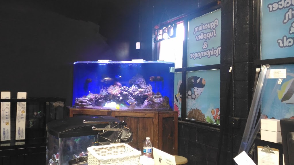 Aquatic Supply & Critters | 1913 Wildwood St, Boise, ID 83713, USA | Phone: (208) 914-1097