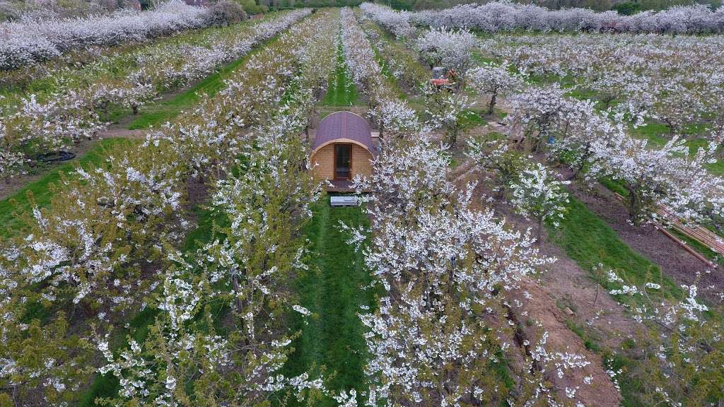 Orchard Pods | Barfield Farm, Aldon Lane, Offham, West Malling ME19 5PH, UK | Phone: 01732 384613