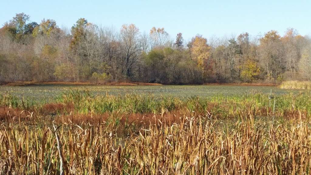 McKee Beshers Wildlife Management Area | 16898-16500 River Rd, Poolesville, MD 20837 | Phone: (410) 356-9272