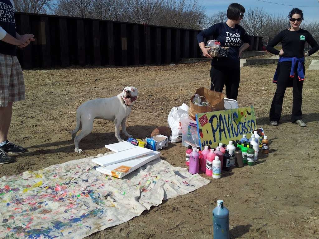 Mondo Dog Beach | Chicago, IL 60613, USA