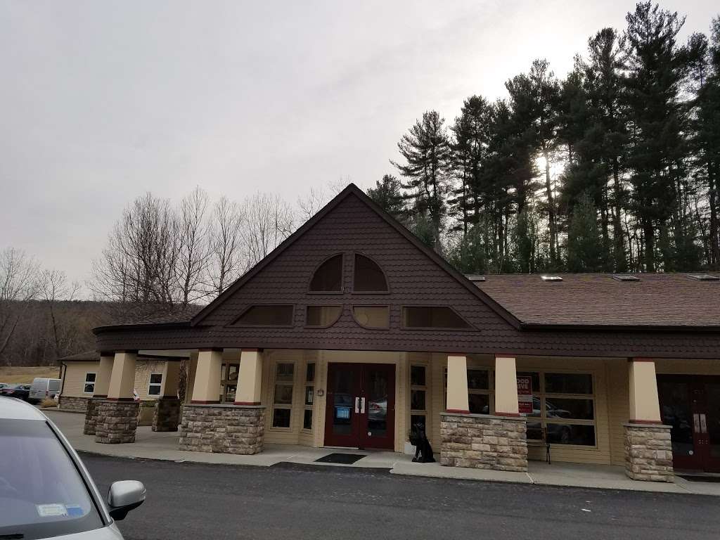 Hudson Highlands Veterinary Medical Group | 222 Lime Kiln Rd, Hopewell Junction, NY 12533, USA | Phone: (845) 221-2244