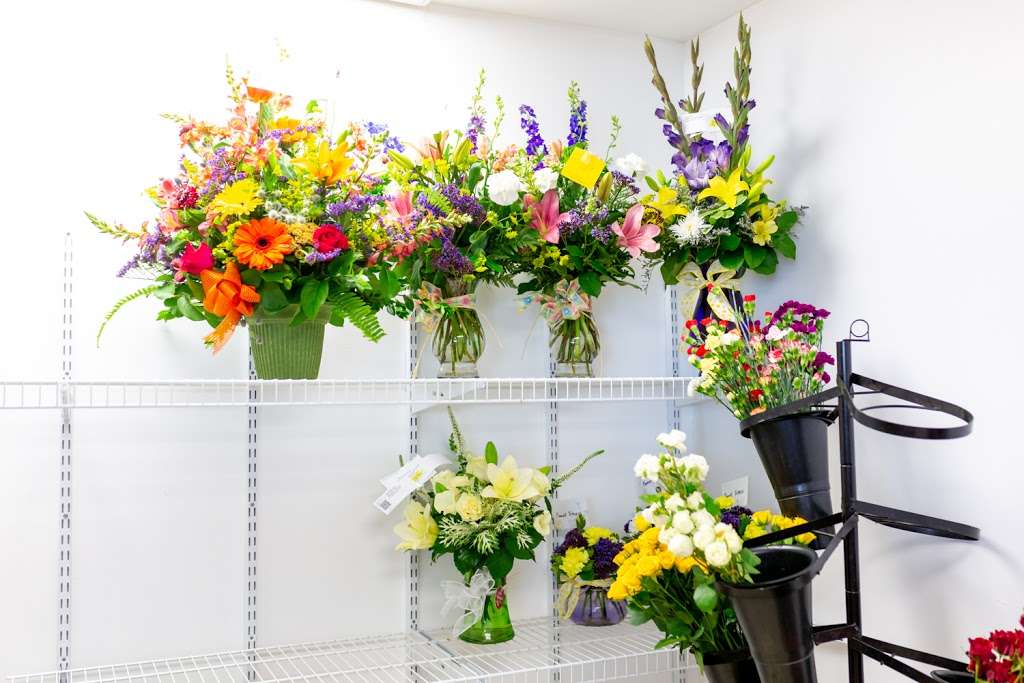 Mainstreet Flower Market | 19555 Mainstreet a, Parker, CO 80138, USA | Phone: (303) 841-5866