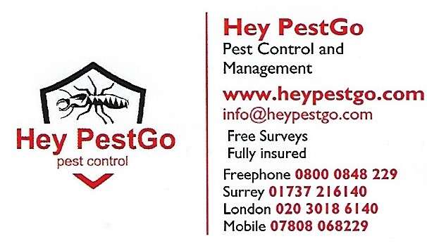 Hey Pestgo | 79 Lakers Rise, Banstead SM7 3LA, UK | Phone: 0800 084 8229