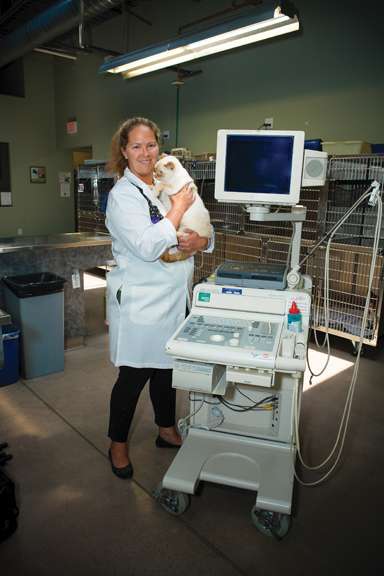 VCA Dakota Ridge Animal Hospital | 12255 W Bowles Ave, Littleton, CO 80127, USA | Phone: (303) 973-0442
