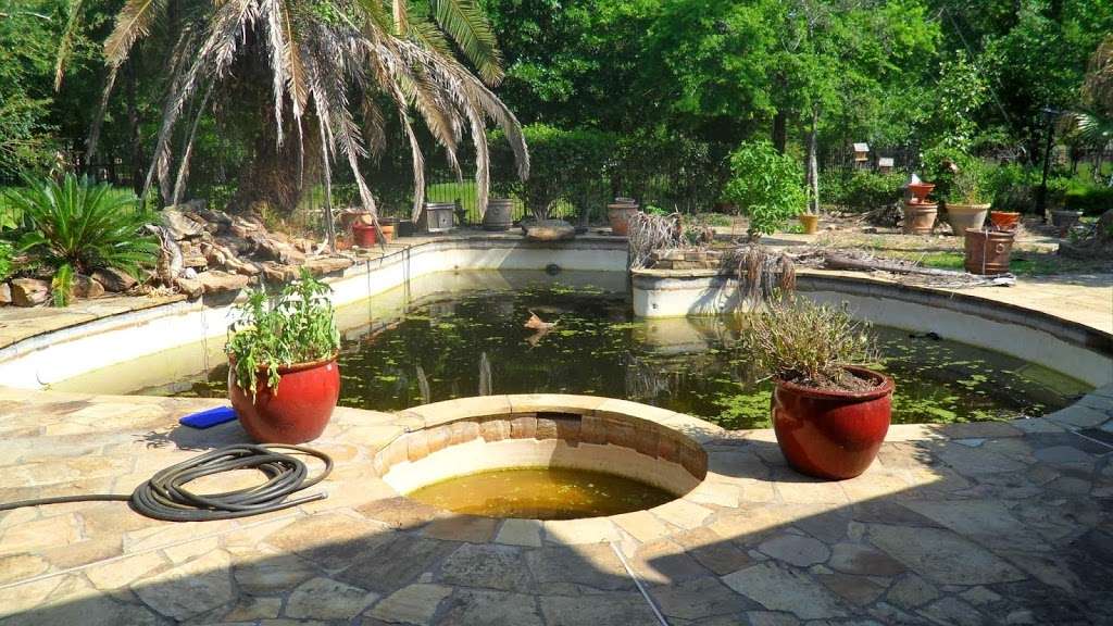 Sparkling Pools | 26031 Leafywood Dr, Spring, TX 77386, USA | Phone: (832) 594-9494