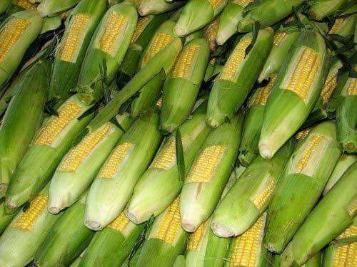 FRUTERIA: EL KOKO LOKO Verduras Y Vejetales | 27668 FM 1485, New Caney, TX 77357, USA | Phone: (832) 970-4072
