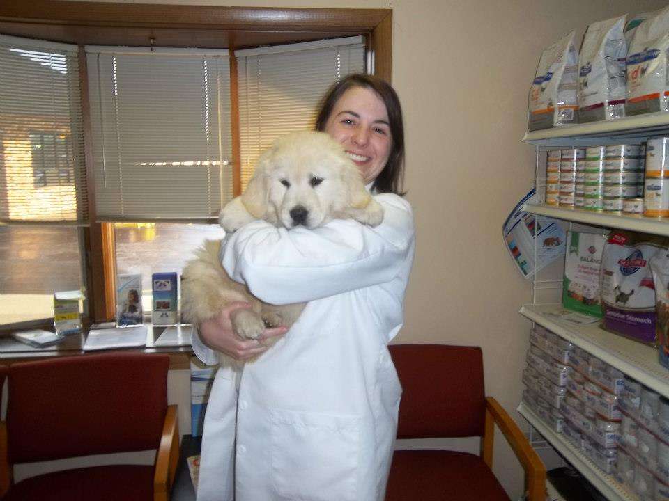 Animal Clinic at New Lenox | 1328 N Cedar Rd, New Lenox, IL 60451 | Phone: (815) 485-4477