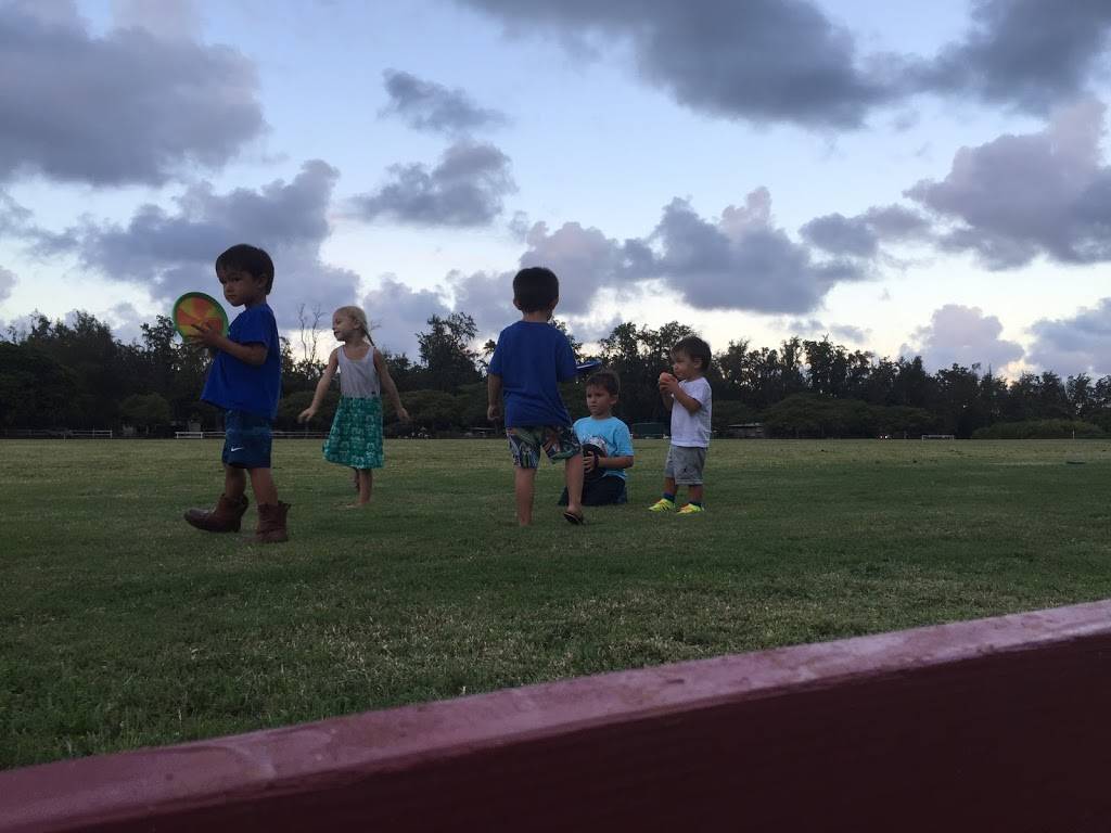 Hawaii Polo Lessons | 41-1062 Kalanianaʻole Hwy, Waimanalo, HI 96795, USA | Phone: (808) 421-9874