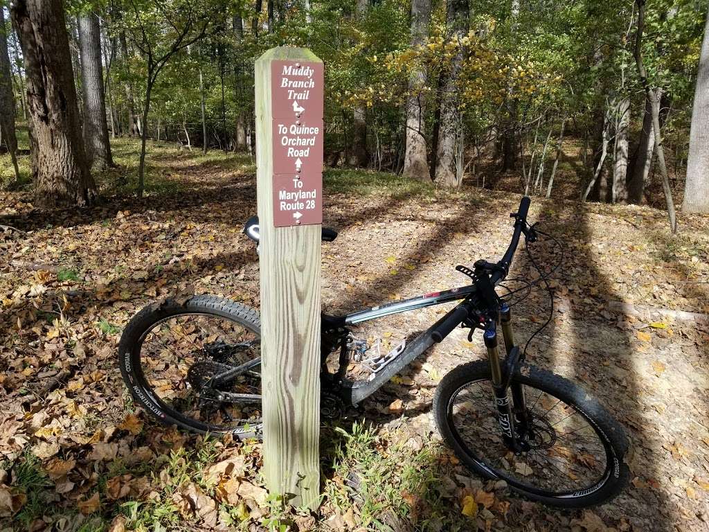 Muddy Branch Trail Head | 14401 Quince Orchard Rd, North Potomac, MD 20878, USA