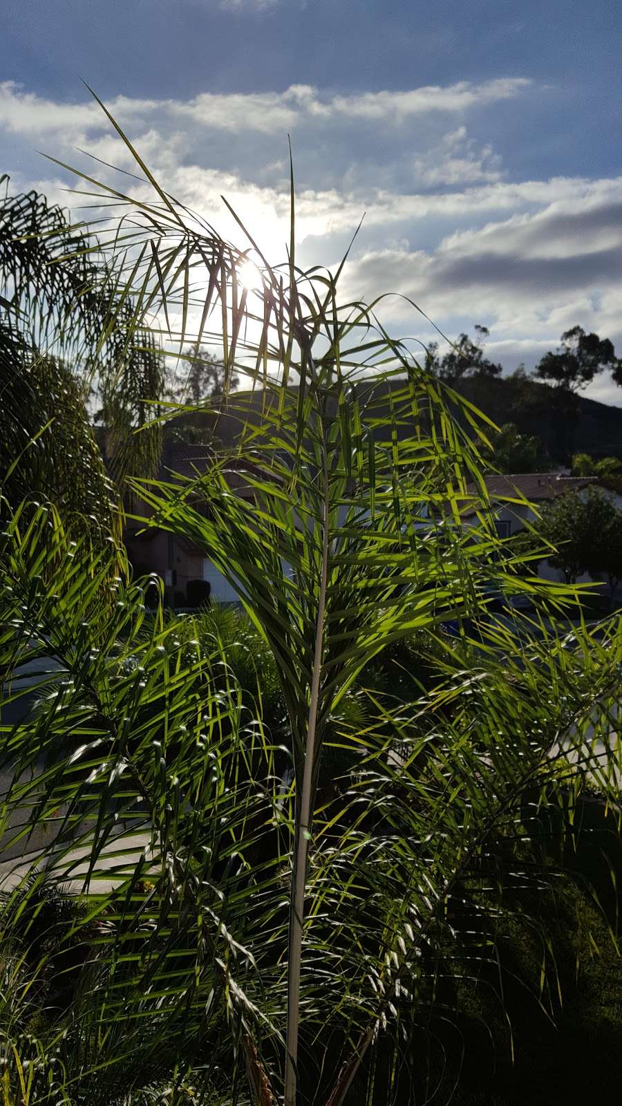 Cool Park & Trail | Avenida De La Plata, Oceanside, CA 92056, USA