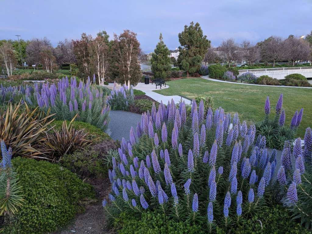 Preserve Park | 99, Shearwater Pkwy, Redwood City, CA 94065