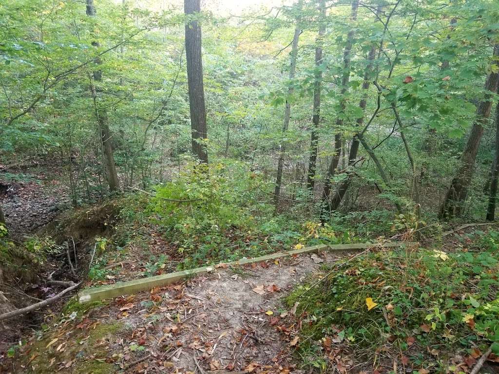 Twin Bridges Loop Trail | East CR-200 South, Danville, IN 46122, USA