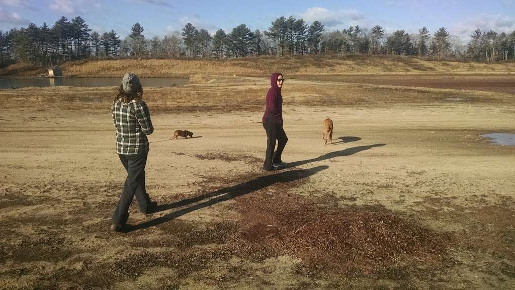 Cranberry Bogs | Carver, MA 02330, USA