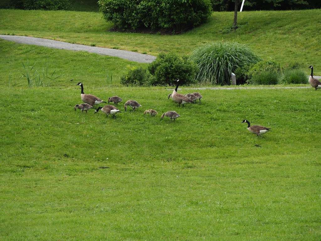 John T Adkinson Park | 2503-, 4533 Naamans Creek Rd, Garnet Valley, PA 19060, USA