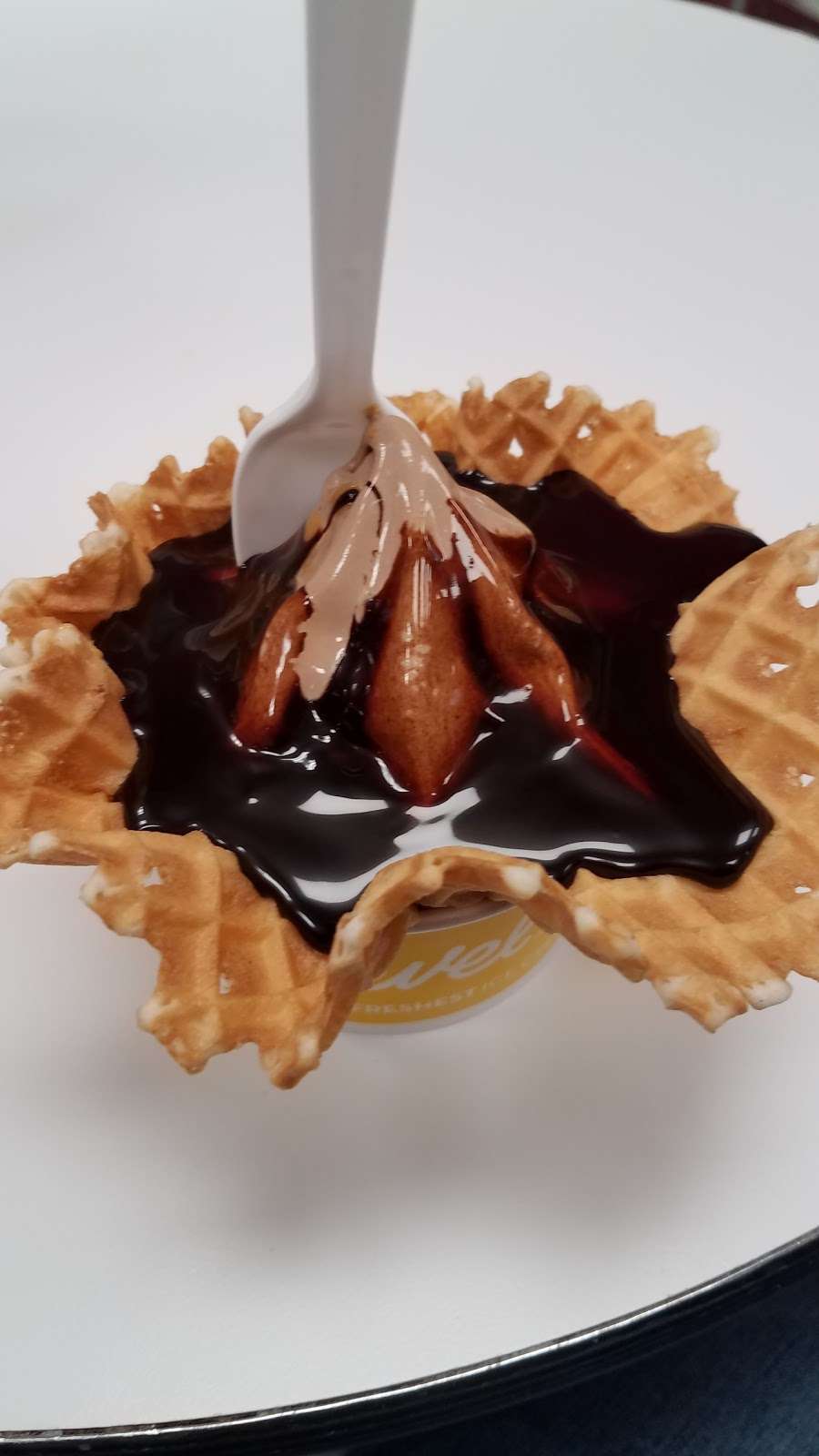 Carvel | 650 Columbus Ave, Thornwood, NY 10594, USA | Phone: (914) 495-3590