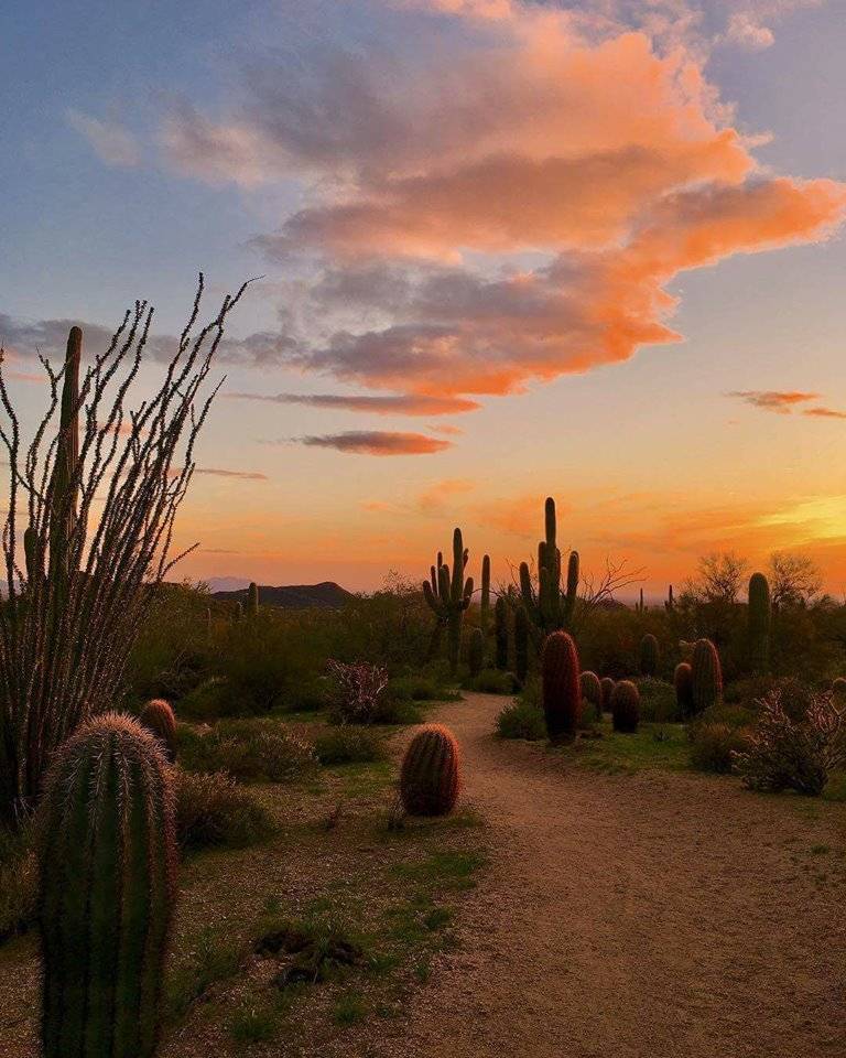 Scott Gaertner Group | 2005 W Happy Valley Rd #150, Phoenix, AZ 85085, USA | Phone: (480) 634-5000 Scott Gaertner Group | 2005 W Happy Valley Rd #150, Phoenix, AZ 85085, USA | Phone: (480) 634-5000