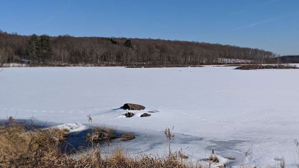 Cobey Pond Trail | Hawley, PA 18428, USA